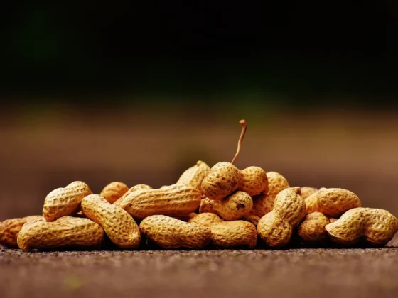 image of peanuts in a pile