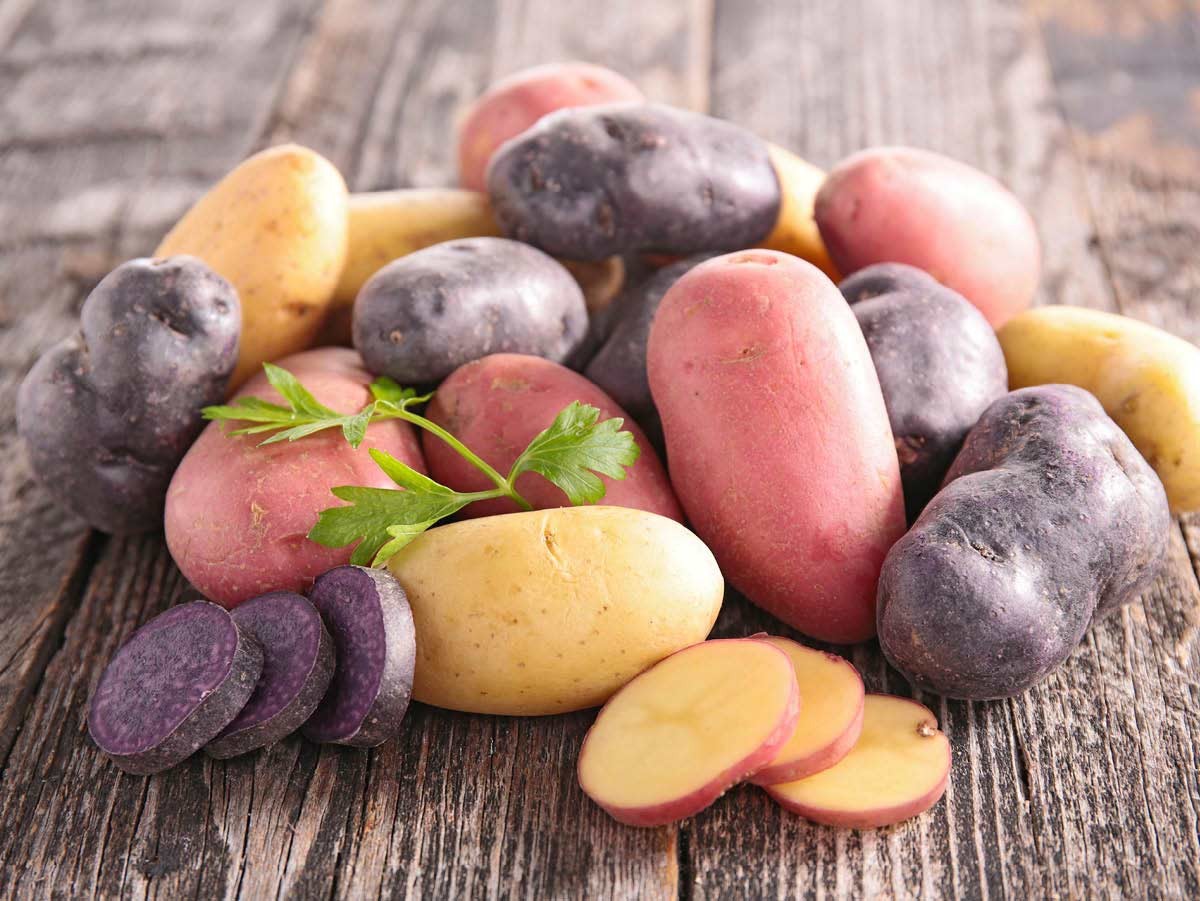 Sweet Potato vs. Regular Potato How do they compare?